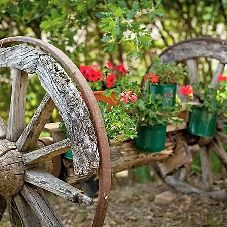 Titti *